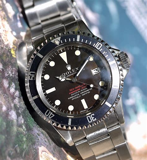 rolex sea dweller pander red|rolex sea dweller red neu.